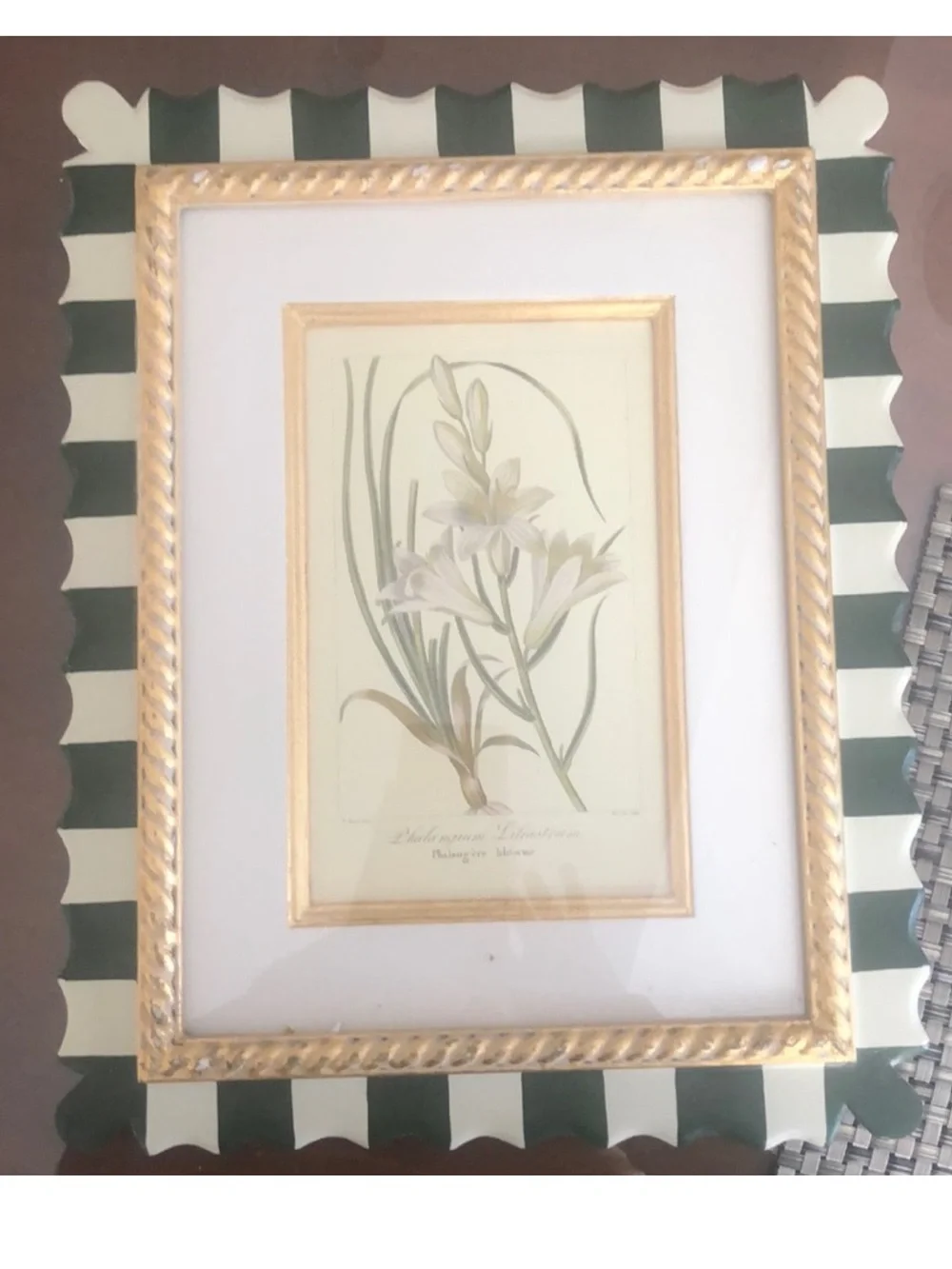 Set of 4 Trowbridge Botanicsl Prints Set of Four